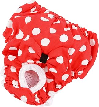 Doggy uslubidagi yubka ostidan panties Doggy uslubidagi yubka ostidan panties